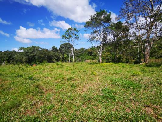 , Terreno en venta en Mendoza | P3399109