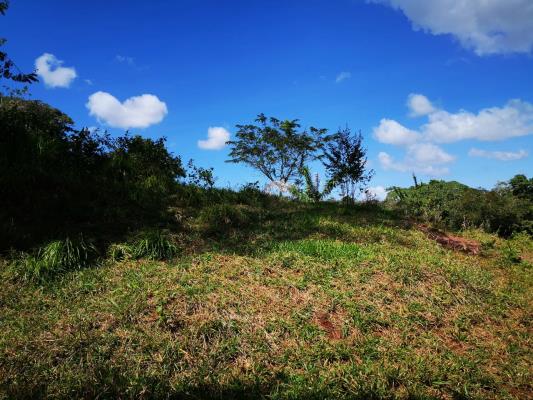 , Terreno en venta en Mendoza | P3399109