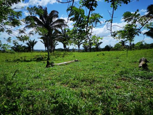 , Terreno en venta en Mendoza | P3399109