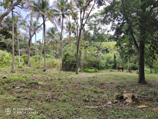 , Terreno en venta en Herrera | P3399116