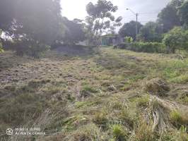 Guadalupe La Chorrera