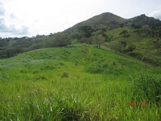 , terreno