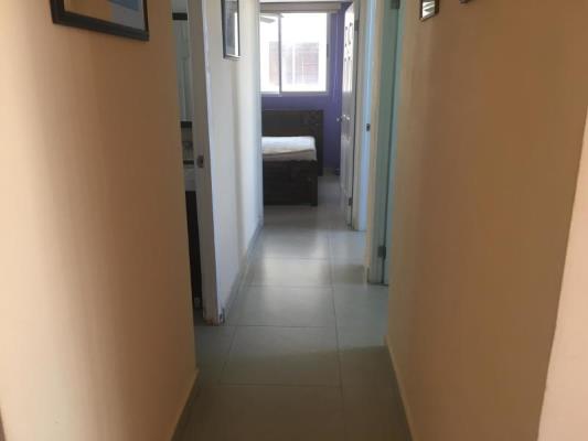 , Apartamento en alquiler en Betania | P3414243