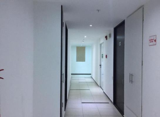 Alsacia Towers, Amelia Denis De Icaza