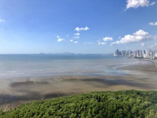 , Área Metropolitana