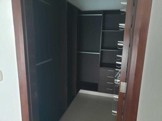 Dupont, Área Metropolitana