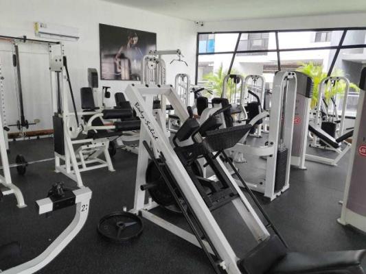 Terrazas del Rey , Apartamento en alquiler en Amelia Denis De Icaza | Terrazas del Rey  -  P3428831