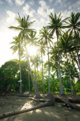 , Terreno en alquiler en San Martin de Porres | P3461339