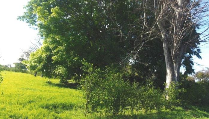 , Terreno en venta en Pedasí | P3463320