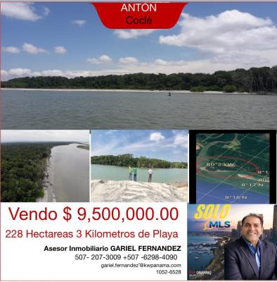 , Antón
