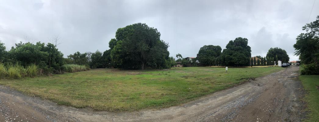 Coronado, Nueva Gorgona