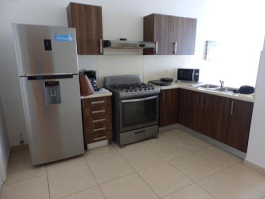 Oasis on the Bay, Área Metropolitana