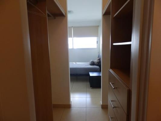 Oasis on the Bay, Área Metropolitana