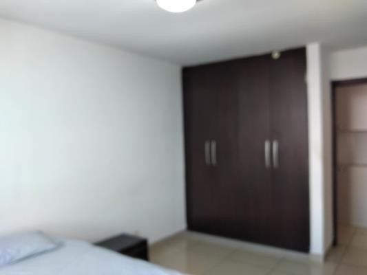 , Área Metropolitana