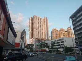 ymal