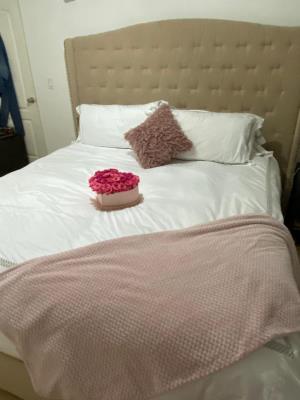 albrook point, Apartamento en alquiler en Ancón | albrook point -  P3488989