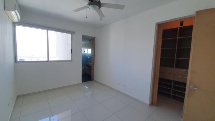 , Área Metropolitana