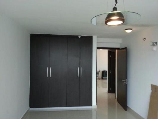 , Área Metropolitana