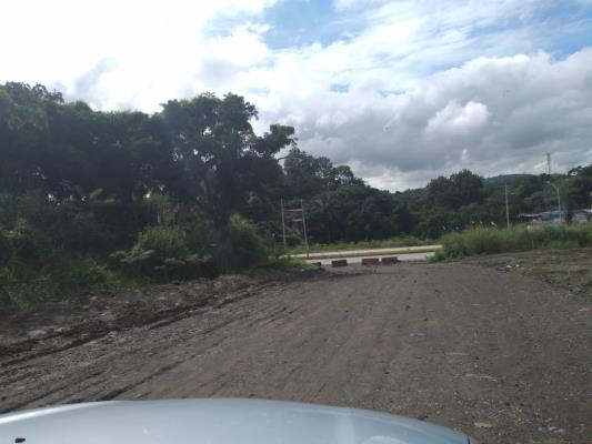 , Terreno en alquiler en Belisario Porras | P3512600