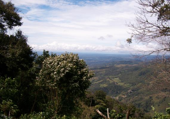 , Terreno en venta en Hornito | P3530296