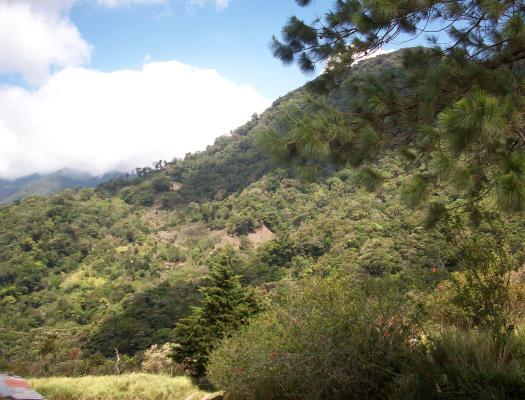 , Terreno en venta en Hornito | P3530296