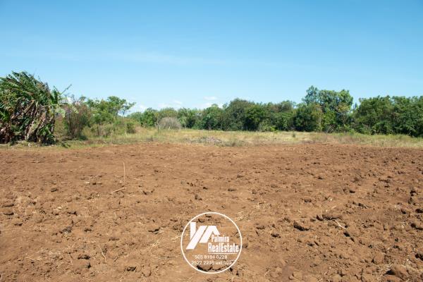 , Terreno en venta en Panamá Pacífico | P3558863