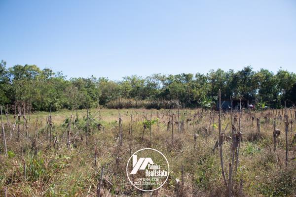 , Terreno en venta en Panamá Pacífico | P3558863