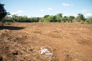 Panamá Pacífico Arraiján