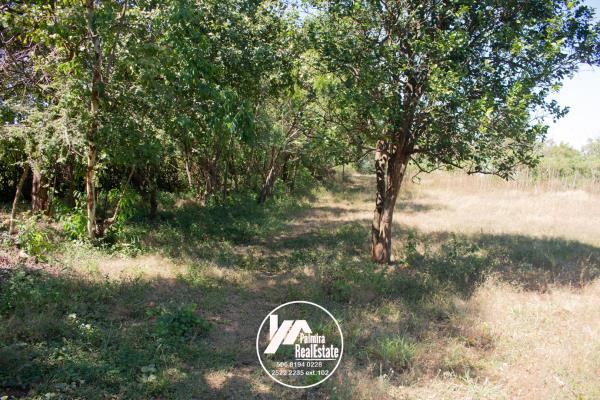 , Terreno en venta en Panamá Pacífico | P3558968