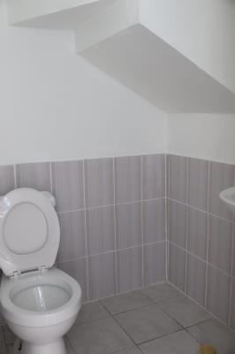 mirador del bosque, Panamá