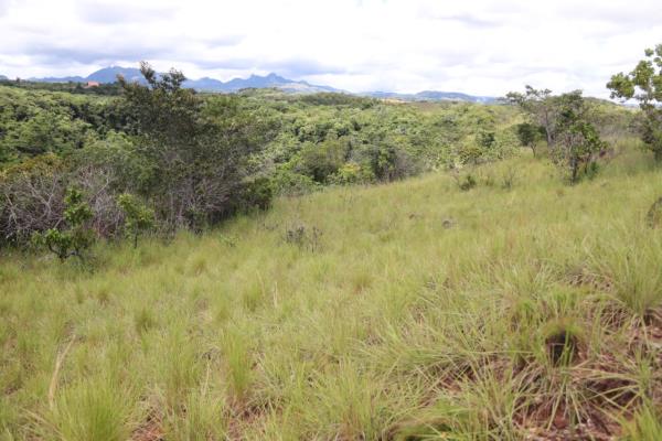 , Terreno en alquiler en Antón | P3566913