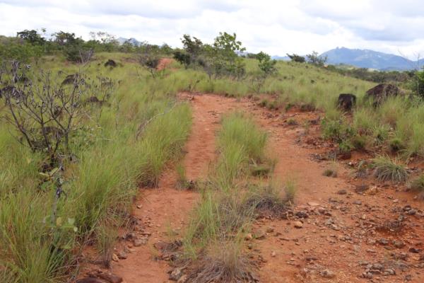 , Terreno en alquiler en Antón | P3566913