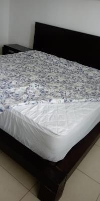 Royal Pacific, Apartamento en alquiler en Punta Pacifica | Royal Pacific -  P3570833