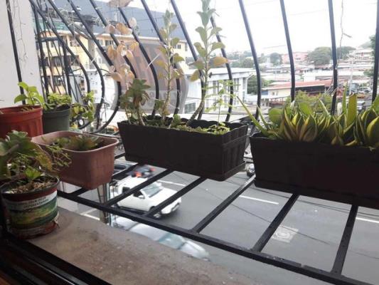 SUMMER VIEW, apartamento