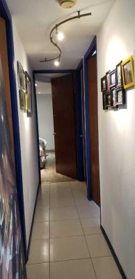 Pacific wind, Área Metropolitana