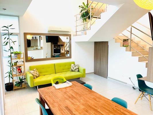 Le Mare, Coco del Mar