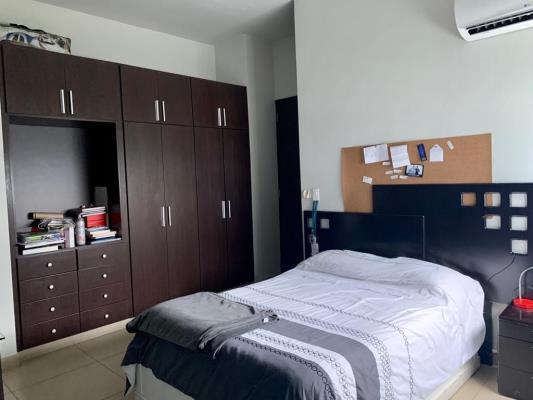 , Área Metropolitana