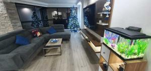 Pelican Bay, San Francisco