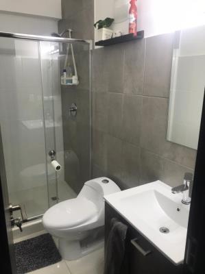 Brisas de Parque Lefevre, Parque Lefevre