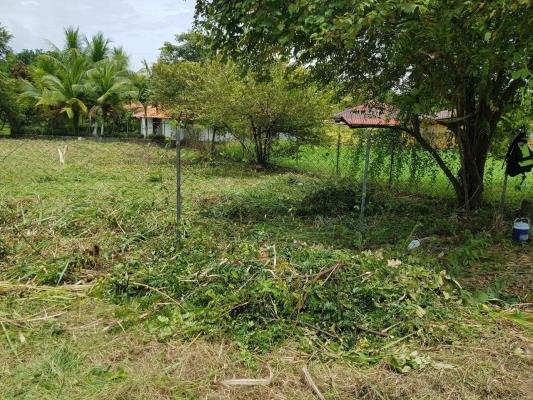 , Terreno en venta en Nueva Gorgona | P3624411