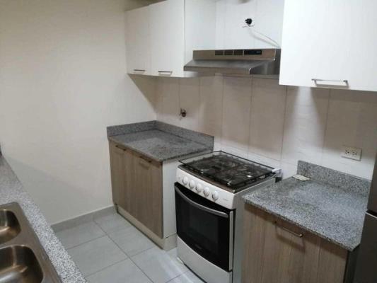 Metropolitan Park, Área Metropolitana