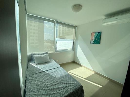 , Área Metropolitana