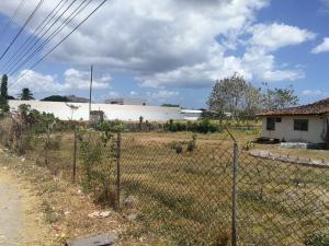 , Terreno en alquiler en Nueva Gorgona | P3626840