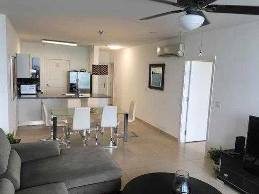 Waters on the bay, Área Metropolitana