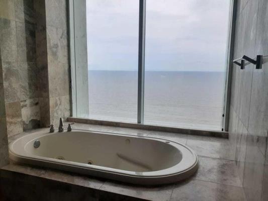 , Área Metropolitana