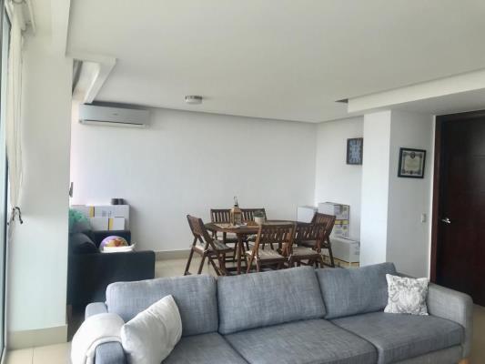 , Área Metropolitana