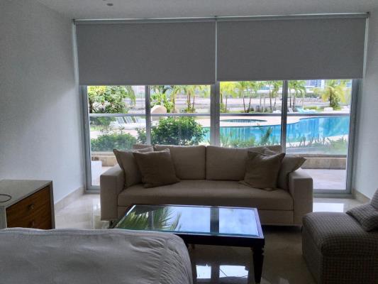 Miradores At The Point, Área Metropolitana