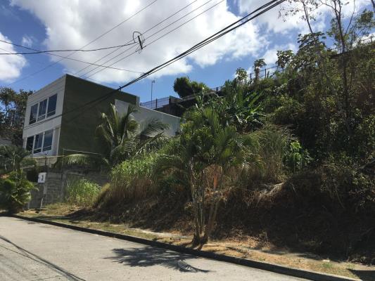 , Terreno en alquiler en Betania | P3683085