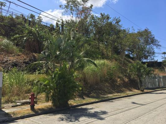 , Terreno en alquiler en Betania | P3683085