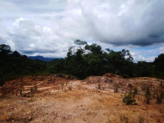 , Terreno en venta en Barrio Colón | P3697400